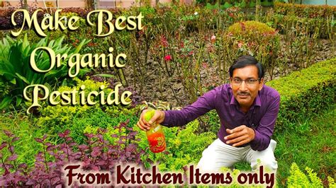 Organic is a labeling term that indicates that the food or other agricultural product has been produced through approved methods. Make Best Organic Pesticide at Home Easily - YouTube