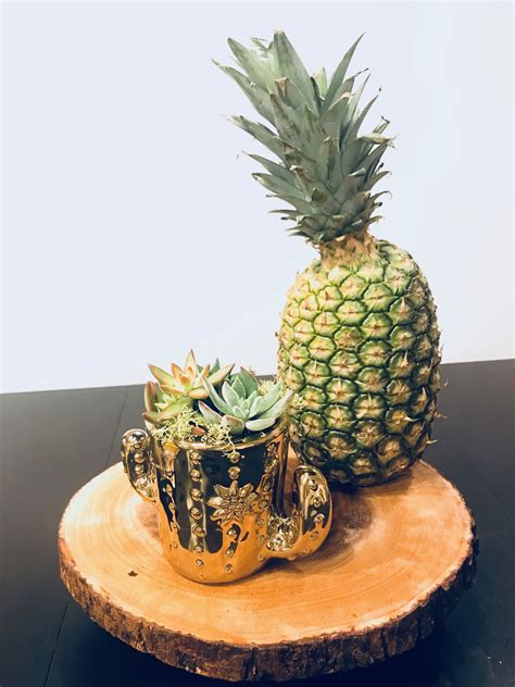 Makes a wonderful gift for any ocassion. Live Succulent Arrangement in Cactus Planter, Cactus ...