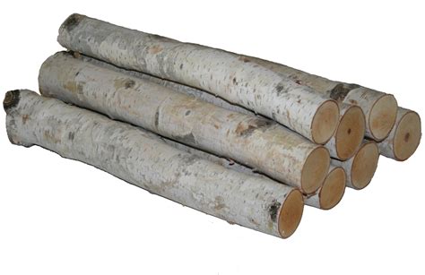 Birch Logs Bundle