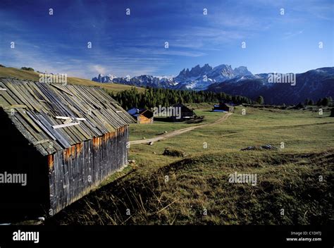 Italy Dolomitic Alps San Pellegrino Pass Stock Photo Alamy