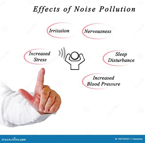 Effects Of Noise Pollution
