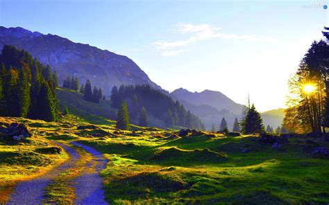 Mountains Meadow Way Woods Nice Wallpapers 1920x1200