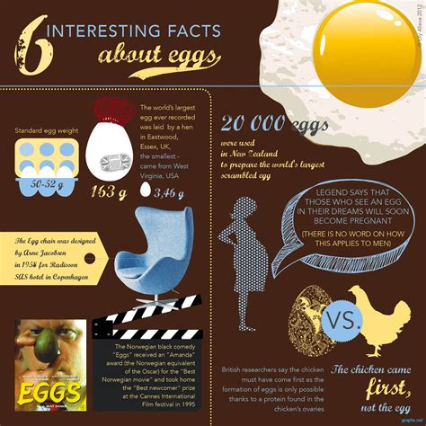 Interesting Egg Facts Infographics By