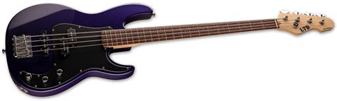 AP-204 - The ESP Guitar Company