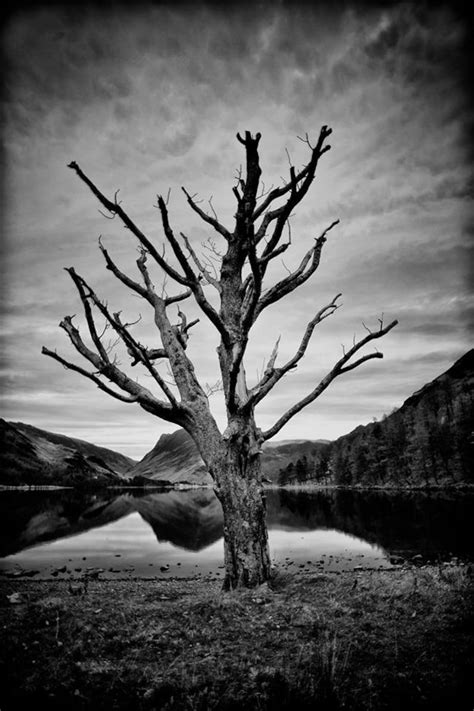 Black And White Landscape Fine Art Photography Lake District Etsy