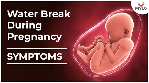 Symptoms Of Water Break In Pregnancy Water Break During Pregnancy In