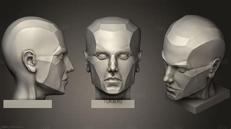 Face Anatomy 3d Stl Model For Cnc