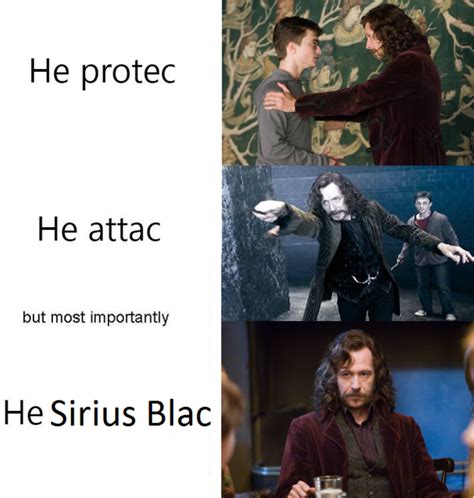 Siriusly He Protec But He Also Attac Know Your Meme
