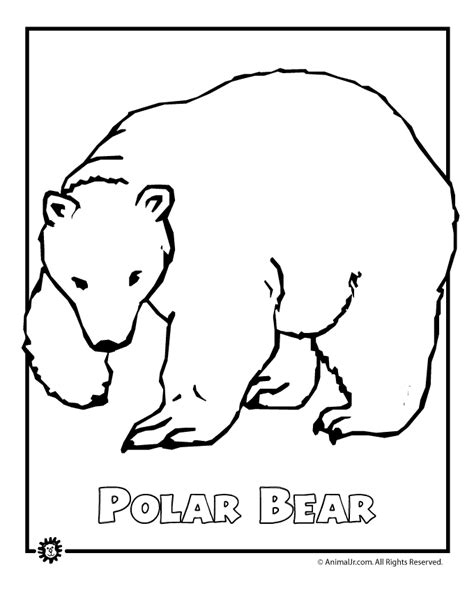 Arctic Coloring Pages Coloring Home