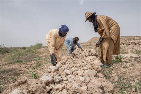 Changement Climatique Au Sahel 67 Millions De Personnes Vivent Dans