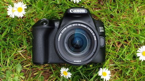 Best Canon Camera For Beginners If You Have A Little More Money To