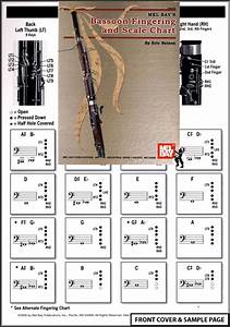 Bassoon And Scale Chart New Ebay