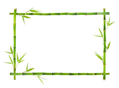 Bamboo Frames Pictures Stock Photos Pictures And Royalty Free Images