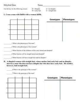 Punnett Square Worksheet With Answers - Worksheet Bunny