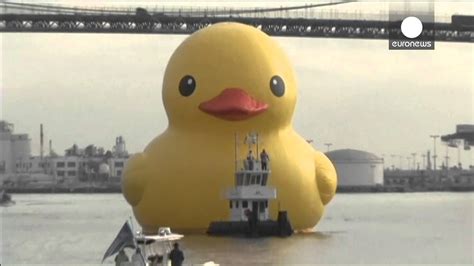 Florentijn Hofmans Giant Rubber Duck In Port Of Los Angeles Youtube