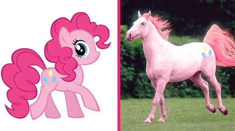 Pinkie pie mlp my little pony postavičky disney fiktivní postavy disney princezna. Download Kuba Poni Mp3 Mp4 3gp Flv | Download Lagu Mp3 Gratis