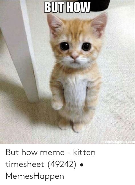 But How Meméshappercom But How Meme Kitten Timesheet 49242