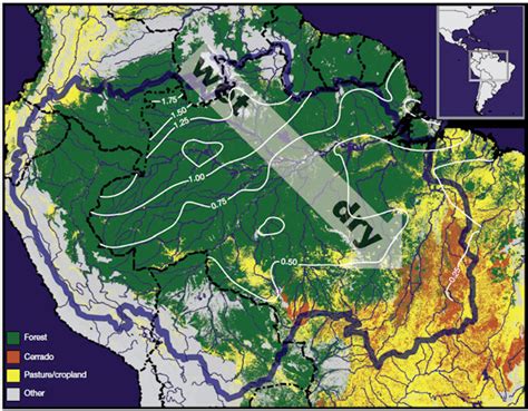Climate The Amazon Rainforest
