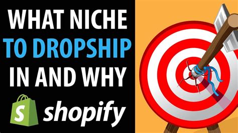 What Niche To Dropship In And Why Revealed Youtube