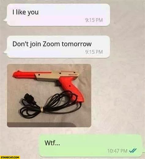 I Like You Dont Join Zoom Tomorrow Computer Game Gun