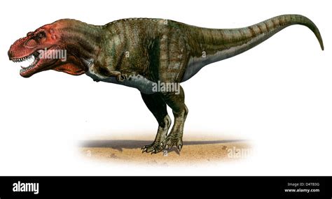 Tyrannosaurus rex un dinosaurio de la era prehistórica del período