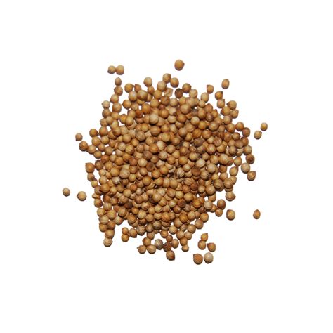 Png Of A Seed Transparent Of A Seed Png Images Pluspng