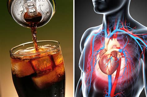 Are Diet Drinks Bad For You This Is What Sugar Free Soda Does To Your