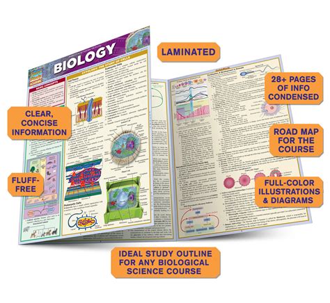 Quickstudy Biology Laminated Study Guide 9781423219538