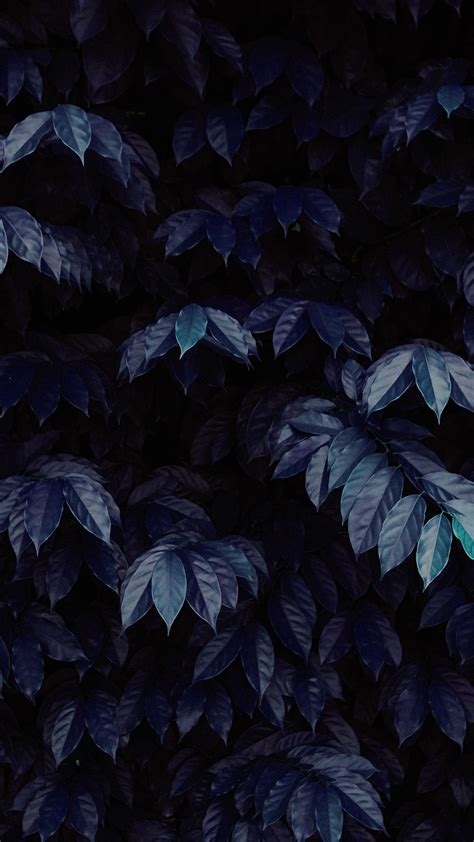 Blue Leaves Wallpapers Wallpaper Cave