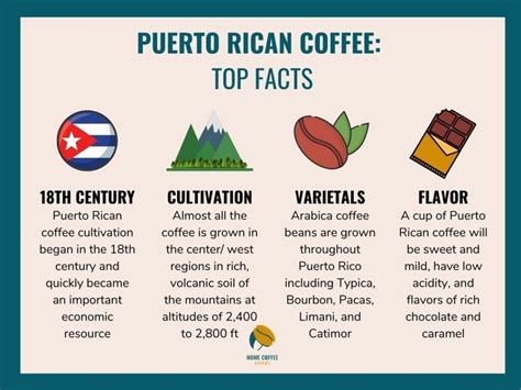 best puerto rican coffee take your morning brew to the next level