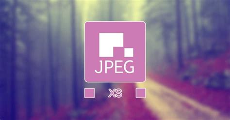 Jpeg file interchange format (jfif) is a simple file type that facilitates the exchange of jpeg images. What is JPEG XS? - Ask Dave Taylor