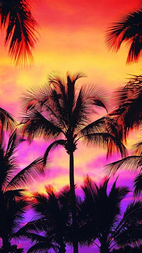 I Love Palm Trees Sunsets Hawaii Sunset Painting Sunset