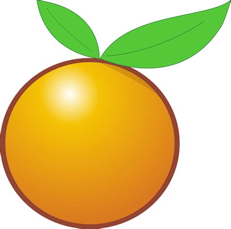 Orange Fruit Citrus · Free Vector Graphic On Pixabay