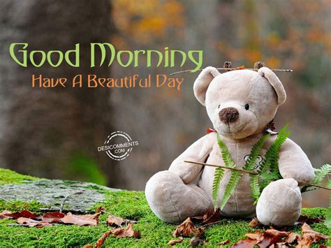 Morning sun is rising and i will you a good day ahead. Good Morning Pictures, Images, Graphics - Page 14