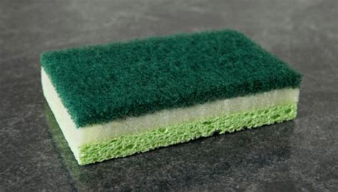 How To Clean A Kitchen Sponge My Home My Globe