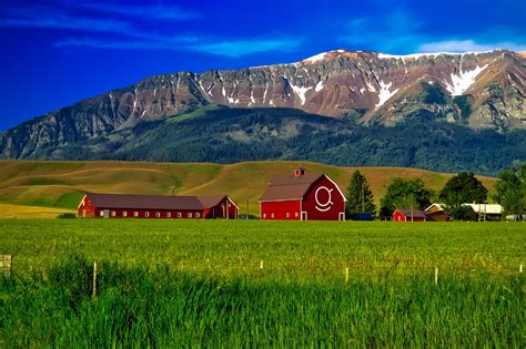 Landscape Of The Farm With Mountains Behind In Oregon