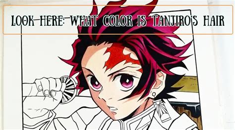 Look Here What Color Is Tanjiros Hair
