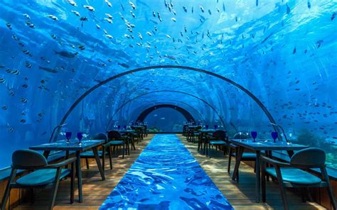 You Can Do Underwater Yoga Surrounded By Tropical Fish In The Maldives