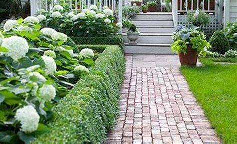 Hydrangeas And Boxwoods Google Search In With Images