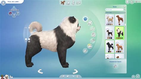 Los Sims 4 Perros Y Gatos Todas Las Razas De Perros Youtube