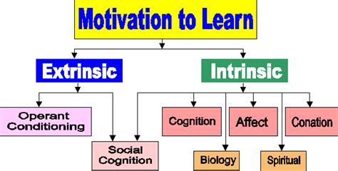 Educational Psychology Interactive Motivation Educational Psychology