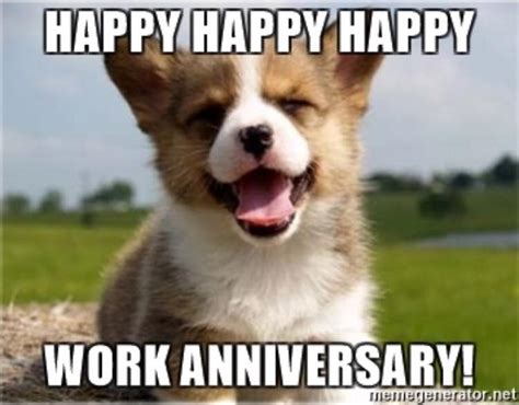 35 hilarious work anniversary memes to celebrate your career fairygodboss