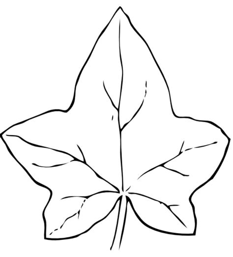Autumn Leaves Coloring Pages Free Coloring Pages