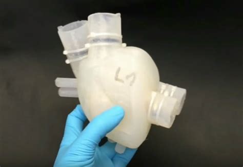 Swiss Researchers Develop Squishy Soft Artificial Heart That Works