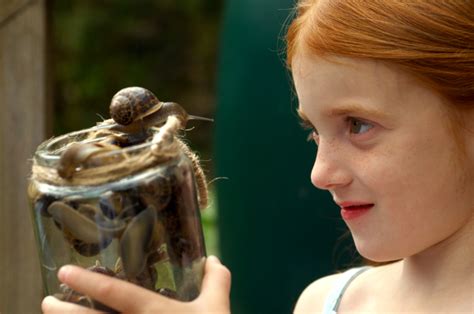 Pets For Kids: The top 13 low-maintenance animals ...