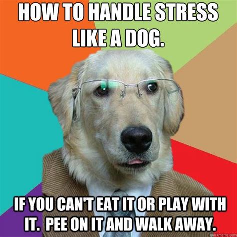 Funny Quotes Funny Memes About Work Stress Best Memes About Work Stress Funny Work Stress