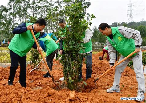 Tree Planting Event Launched In Fujian To Call On People To Plant Trees