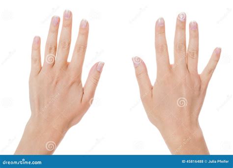 Woman With Manicured Natural Nails Stock Photo Image 45816488