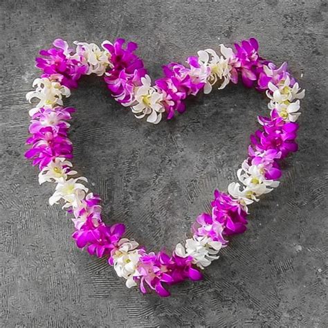 Hawaiian Lei Kaimu Flowers