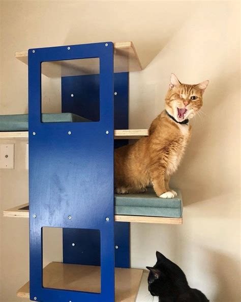 Wally Stacker Cat Shelf Cat Floating Shelf Wall Mounted Cat Etsy
